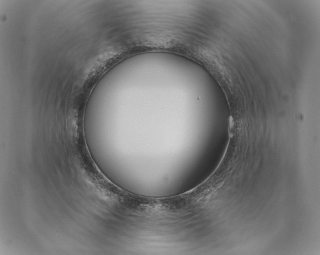 X0000088610688200706081435