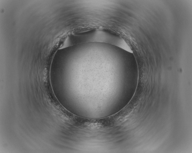 X0000088610689200706081434