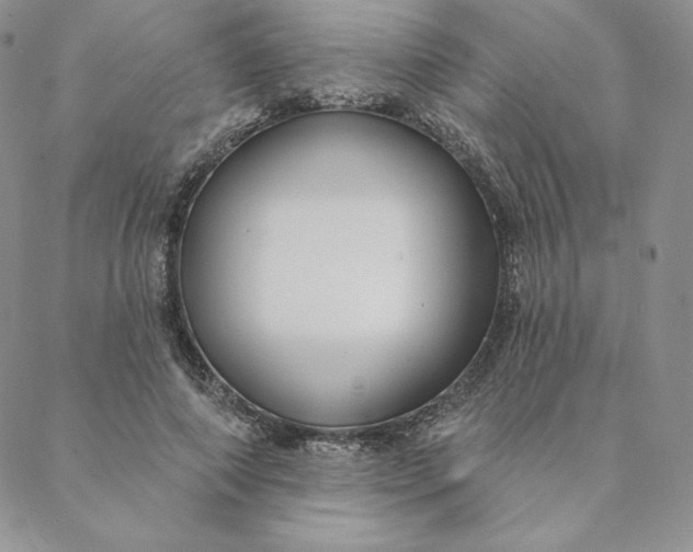 X0000088610690200706081434