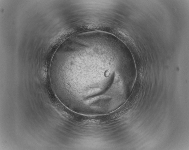 X0000088610691200706081434