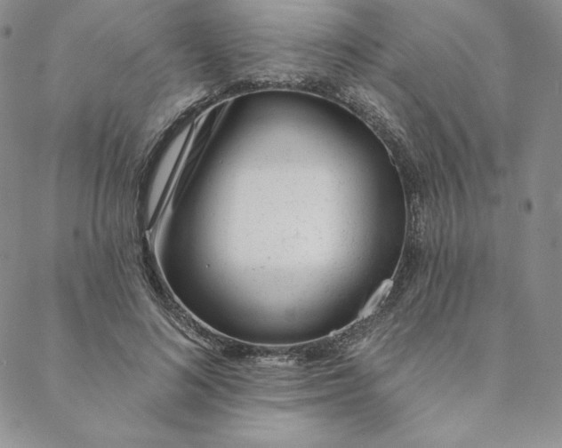 X0000088610692200706081434