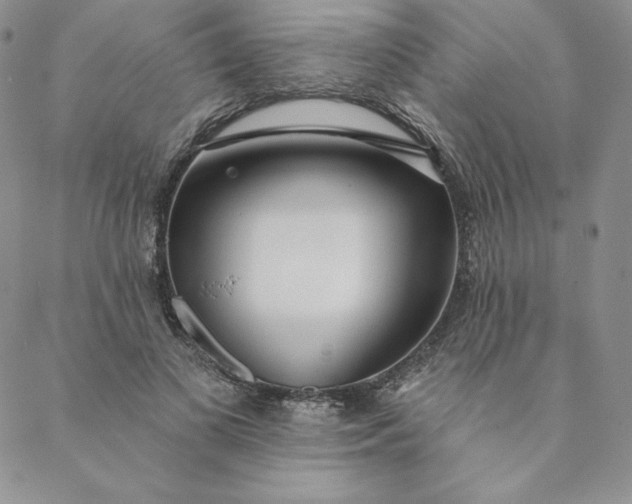 X0000088610693200706081434