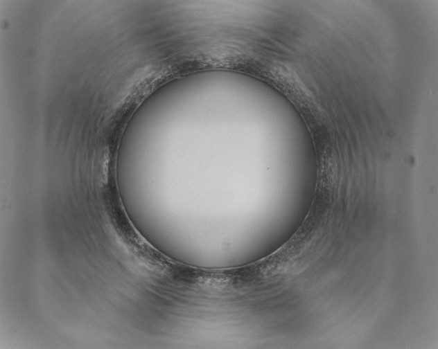 X0000088610694200706081434