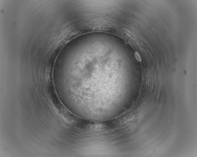 X0000088610695200706081434