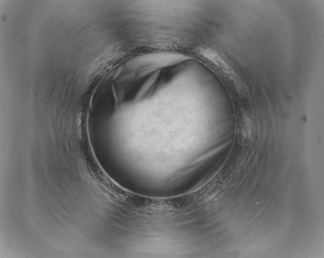 X0000088610696200706081434