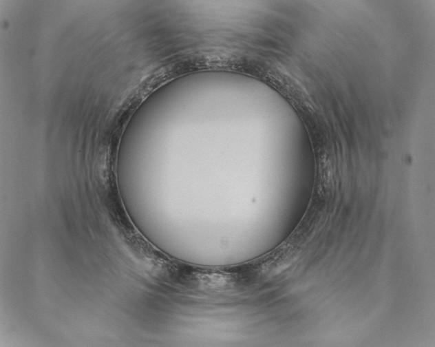 X0000088610698200706081434