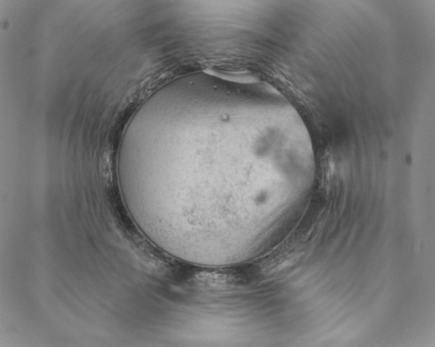 X0000088610699200706081434