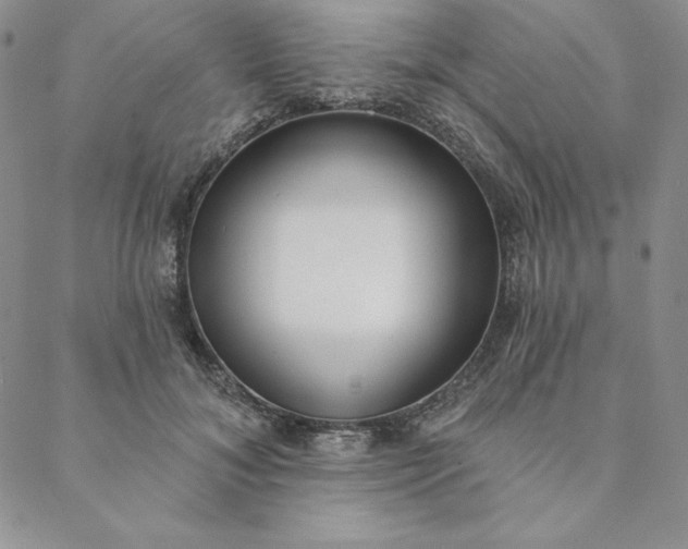 X0000088610700200706081434