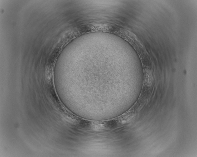 X0000088610701200706081434