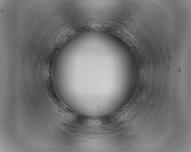 X0000088610702200706081434