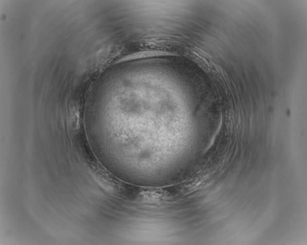 X0000088610703200706081434