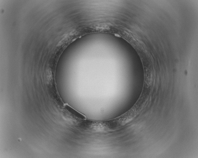 X0000088610704200706081434