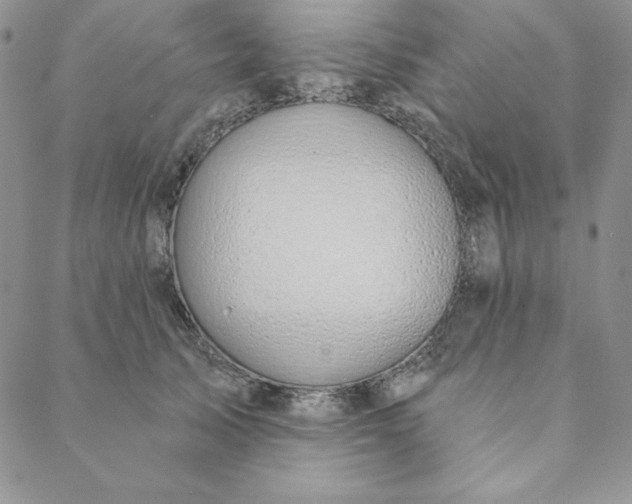 X0000088610705200706081434