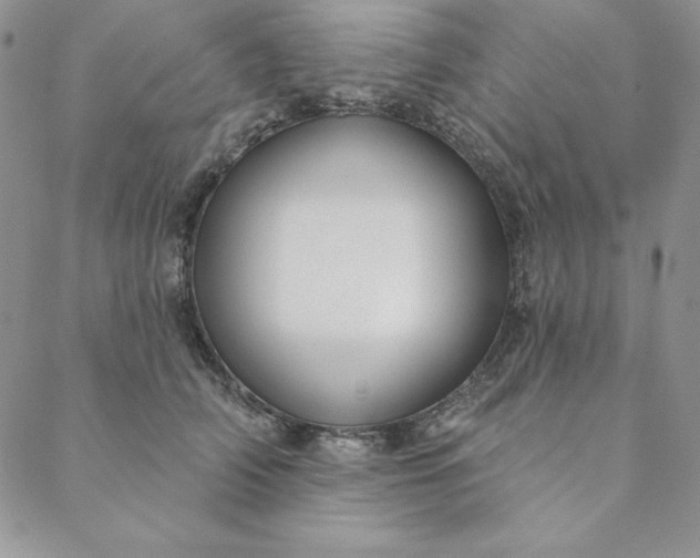 X0000088610706200706081434