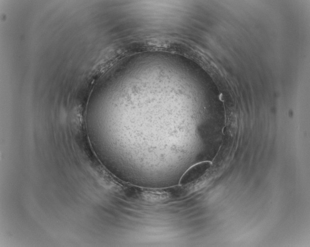 X0000088610707200706081434