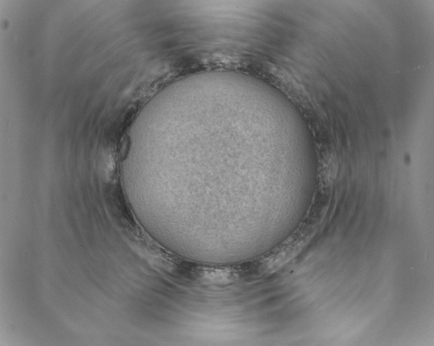 X0000088610709200706081434