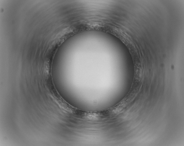 X0000088610710200706081434