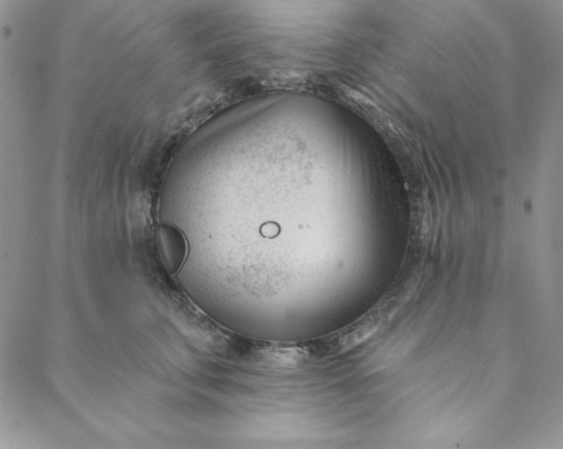 X0000088610711200706081434