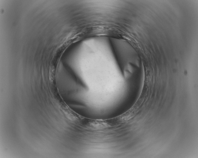 X0000088610712200706081434