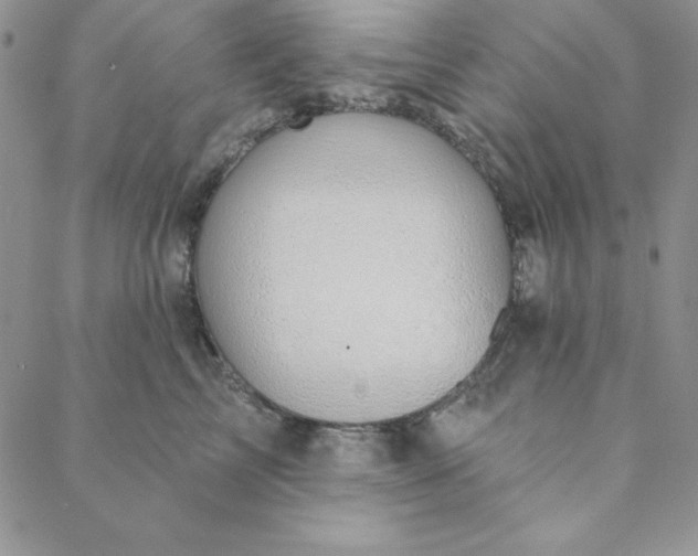 X0000088610713200706081434