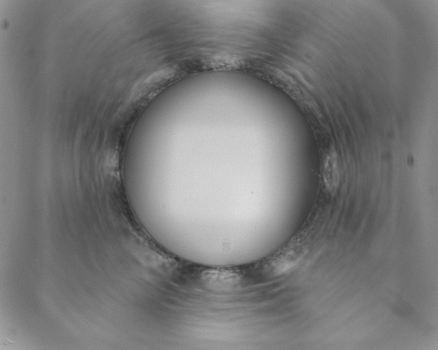 X0000088610714200706081434