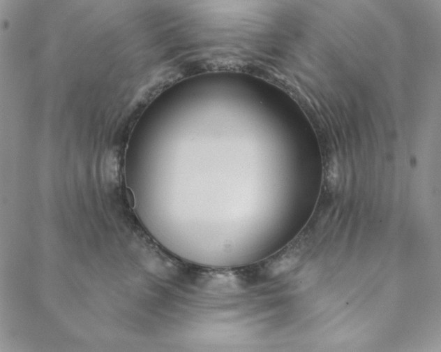 X0000088610715200706081434