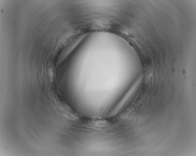 X0000088610716200706081434