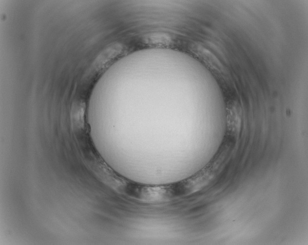 X0000088610717200706081434