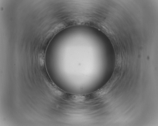 X0000088610719200706081434