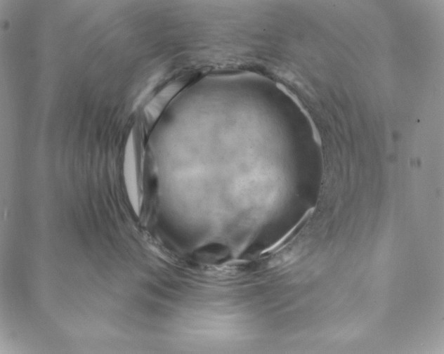 X0000088610720200706081434