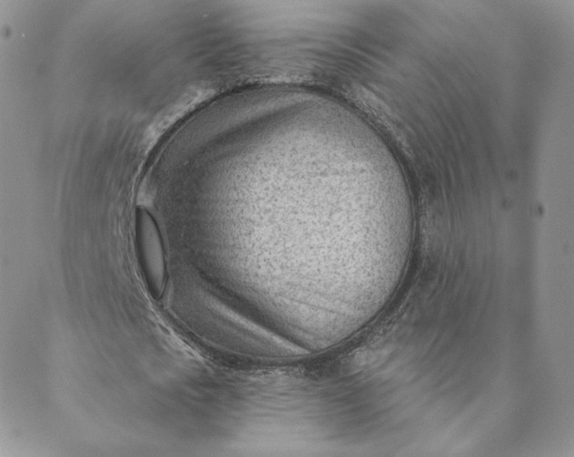 X0000088610721200706081433