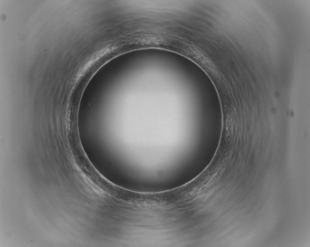 X0000088610722200706081433