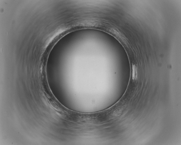 X0000088610723200706081433