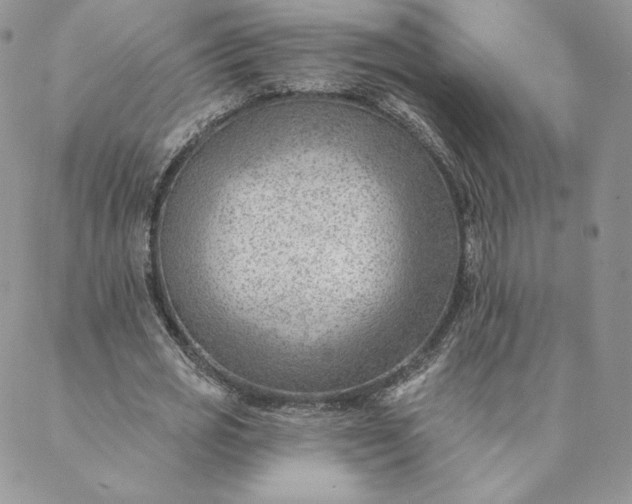 X0000088610725200706081433