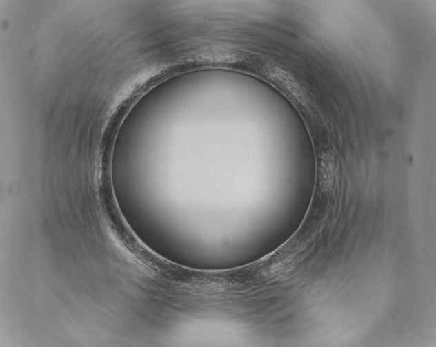 X0000088610726200706081433