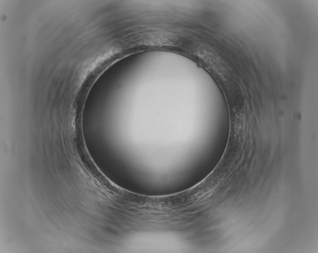 X0000088610727200706081433