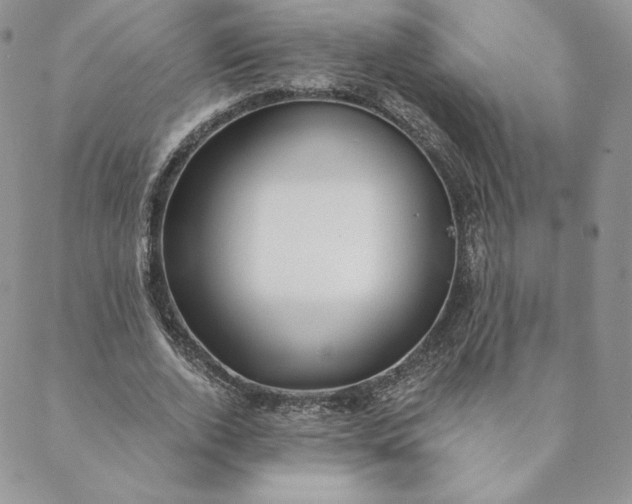 X0000088610728200706081433