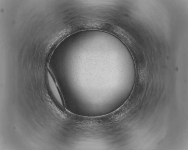 X0000088610729200706081433