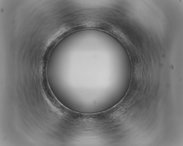 X0000088610730200706081433