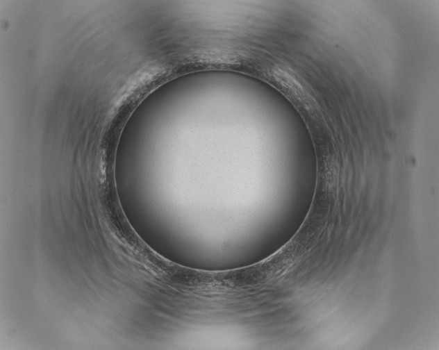 X0000088610731200706081433