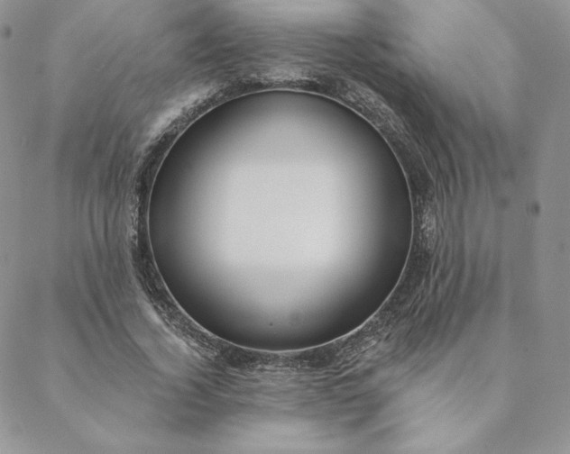 X0000088610732200706081433