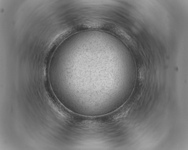 X0000088610733200706081433