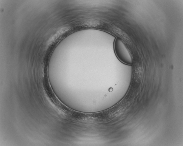 X0000088610734200706081433