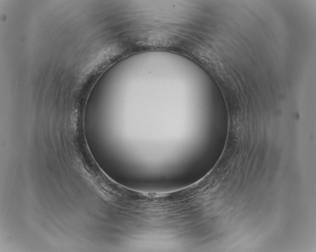 X0000088610735200706081433