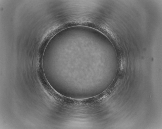 X0000088610736200706081433