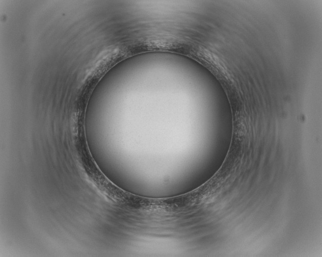 X0000088610738200706081433