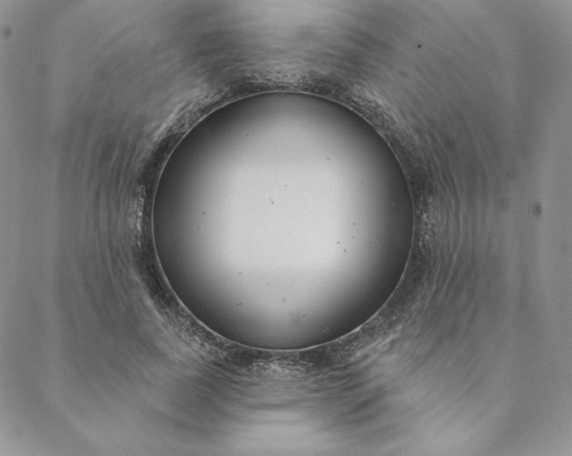 X0000088610739200706081434