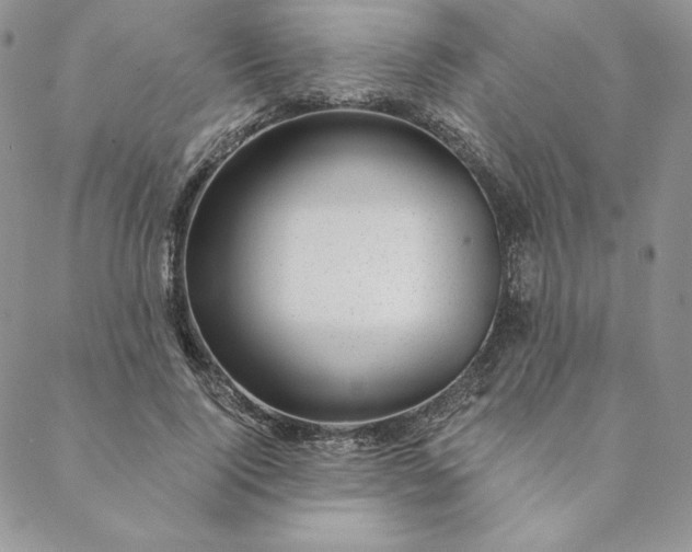 X0000088610740200706081434