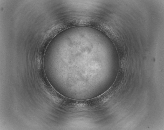 X0000088610741200706081434