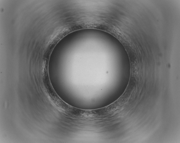 X0000088610742200706081434